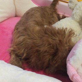 ひとり遊び @2/15とトイレ事情の画像