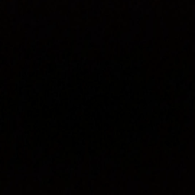 ピーコと私　ﾌﾟﾘﾌﾟﾘ444の画像