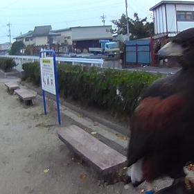 飛びの比較の画像