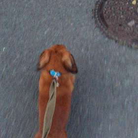 ３７３＄の巻の画像