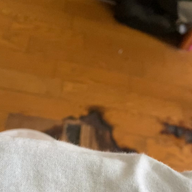 かってには？の画像