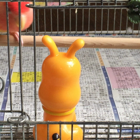 遊ぼっ♪の画像