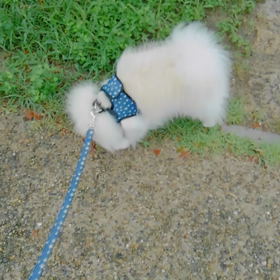 雨の間にの画像