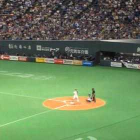 拳士くんの画像