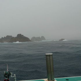 まだまだ熱いぜ銭洲のカンパチ❗の画像