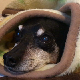 心配して損したの画像