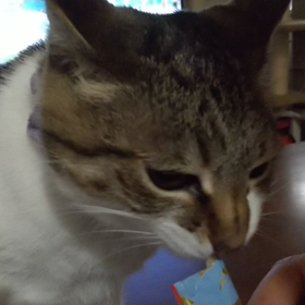 おうちで過ごそうの画像