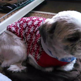 寒いね。の画像