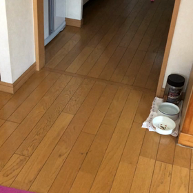 お花見の時期に自粛…都内移動の自粛。デールちゃん。の画像