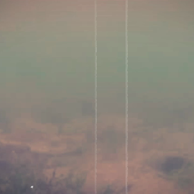 水中動画の画像