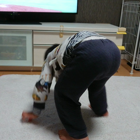 ゴロリーンの動画(^○^)の画像