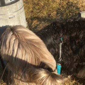 ポカポカ日和に誘われての画像