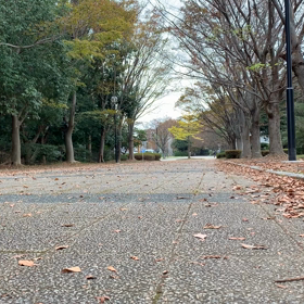 今年もやってきた、冬季練習。プレ冬季1週目。の画像