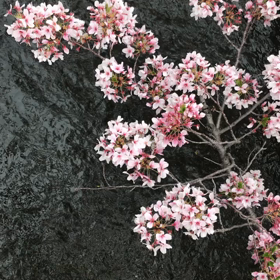 人の心の数だけ世界があるの画像