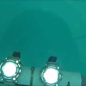 蔵出し！水中映像ｰ1の画像