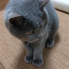 おじいちゃんだって遊びます。の画像