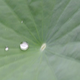 ちょっとの画像