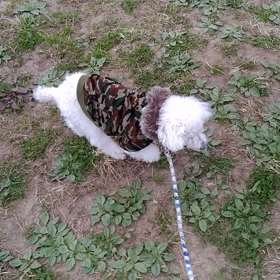 2018年3月15日の画像