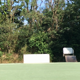 通勤途中のスケート   その3  オイラも混ぜてもらって、、の画像