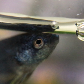 ベリスラちゃん調子イイ、ケガの画像
