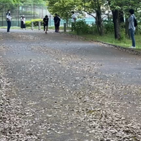 リレー選考会(男子)中間付近⑩の画像