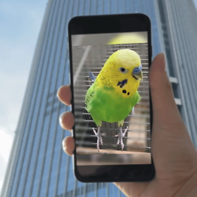 乗っかってみたの画像