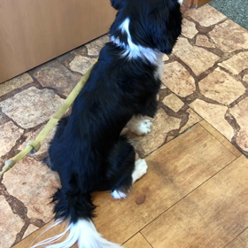 ■先生大好き！！！（ワンダフルサタデー後半戦）■の画像