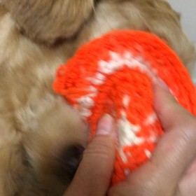 不思議な遊びの画像