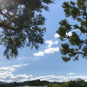 青春っていいね♡の画像