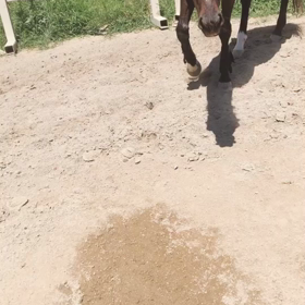 スタッフ清水の呟き【不定期更新】の画像