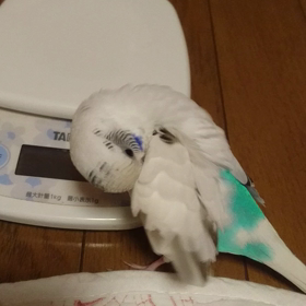 そらの体重の画像