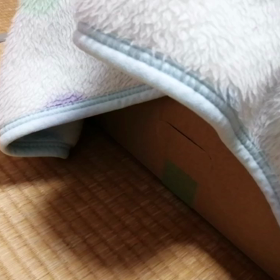 訪問介護?!の画像