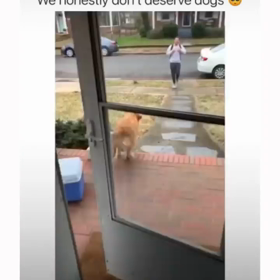 20220118 Bright IGSの画像