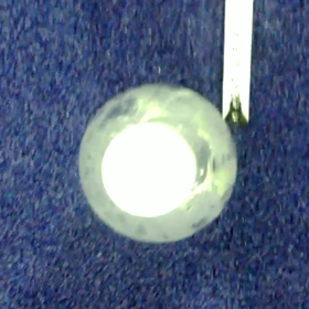 園児スクール　宿題③‼の画像