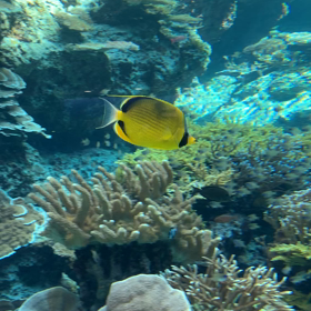 ここはアメリカか？の画像