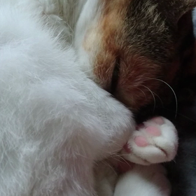 酔っぱらいのイタズラの画像