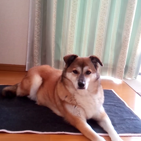 ほぼ復活。の画像