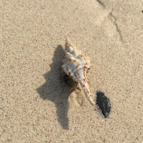 ４週間振りの水泳の画像