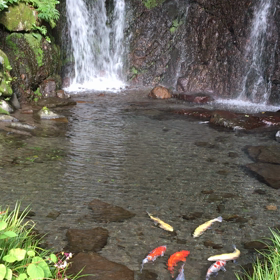 マイナスイオン(#^.^#)の画像