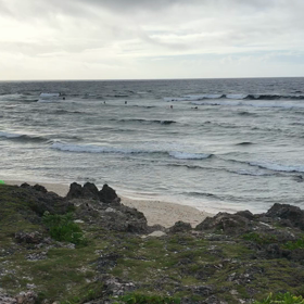 スーサイド波情報❗️《8/11》の画像