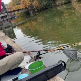 勇姿なのか？の画像