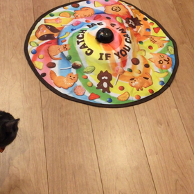 上級者⁉︎の画像