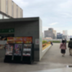 Shima散歩TOKYO湯島駅から上野恩賜公園とアメ横散歩ver.4の画像