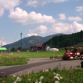 ゆりポッポ列車の画像