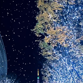 Merry Christmas & Happy New Yearの画像