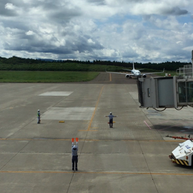 帰京その２の画像