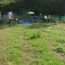 ドッグランで～(^-^)の画像