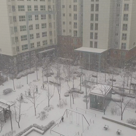 再びソウルは大雪の画像