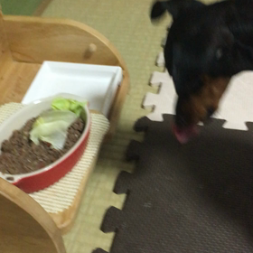 まだまだ途中。の画像