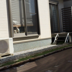 ココのんは見た、動画の画像